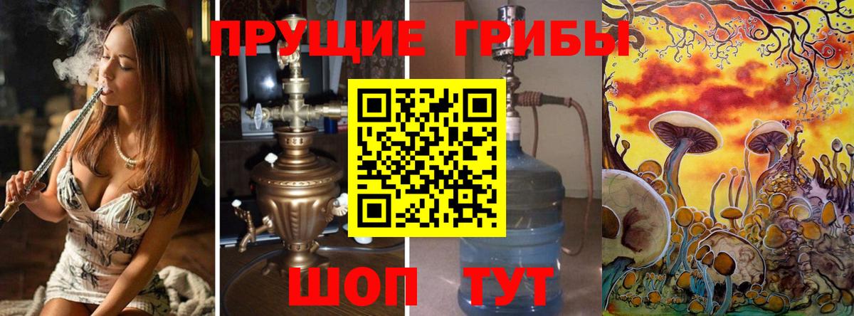 Псилоцибиновые грибы мицелий  Анапа  Псилоцибиновые грибы Psilocybine cubensis 